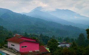 Villa Pink Tugu Utara