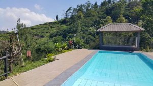 villa kaca putih puncak