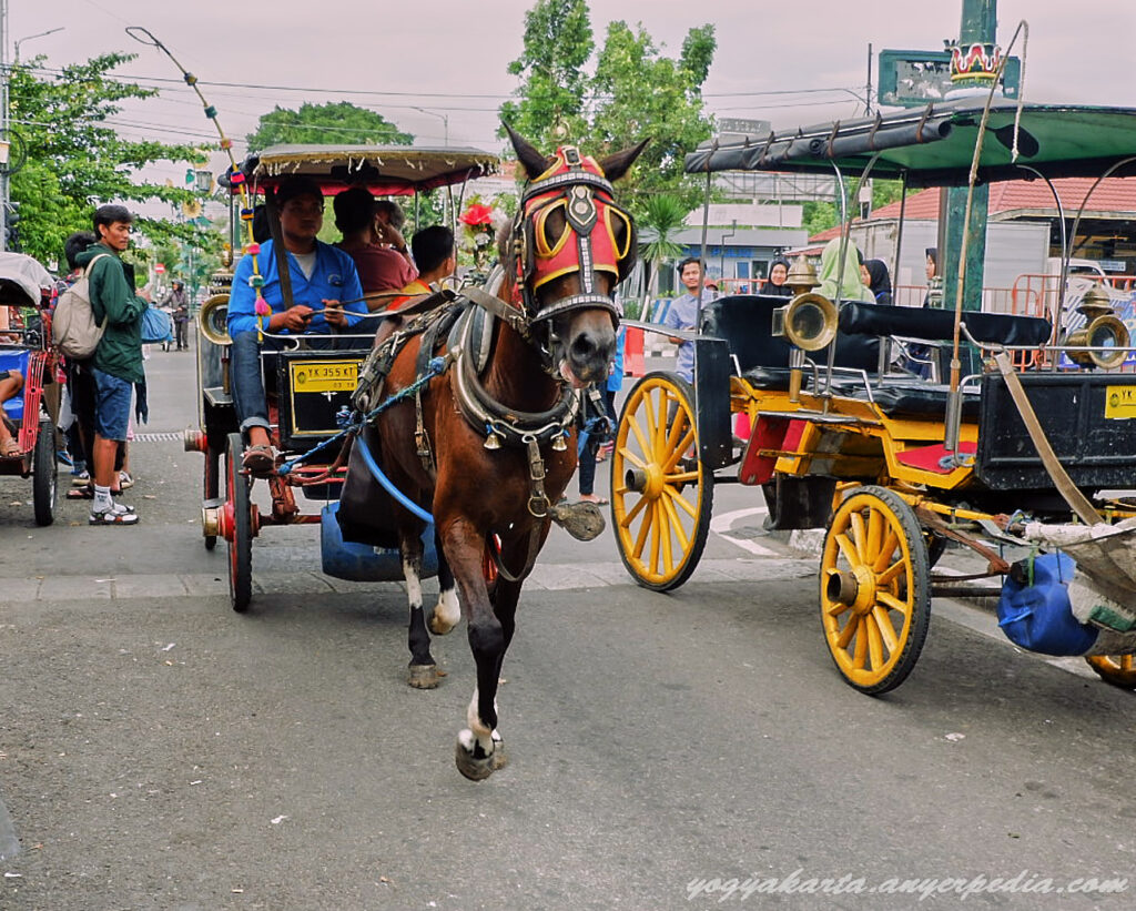 Andong Transportasi Tradisional di Kota Yogyakarta
