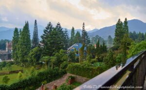 Bumi Bata Merah, Villa Murah di Puncak Dekat Kebun Teh dengan View Pegunungan