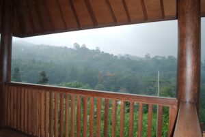 Villa Esva Puncak 4 Kamar